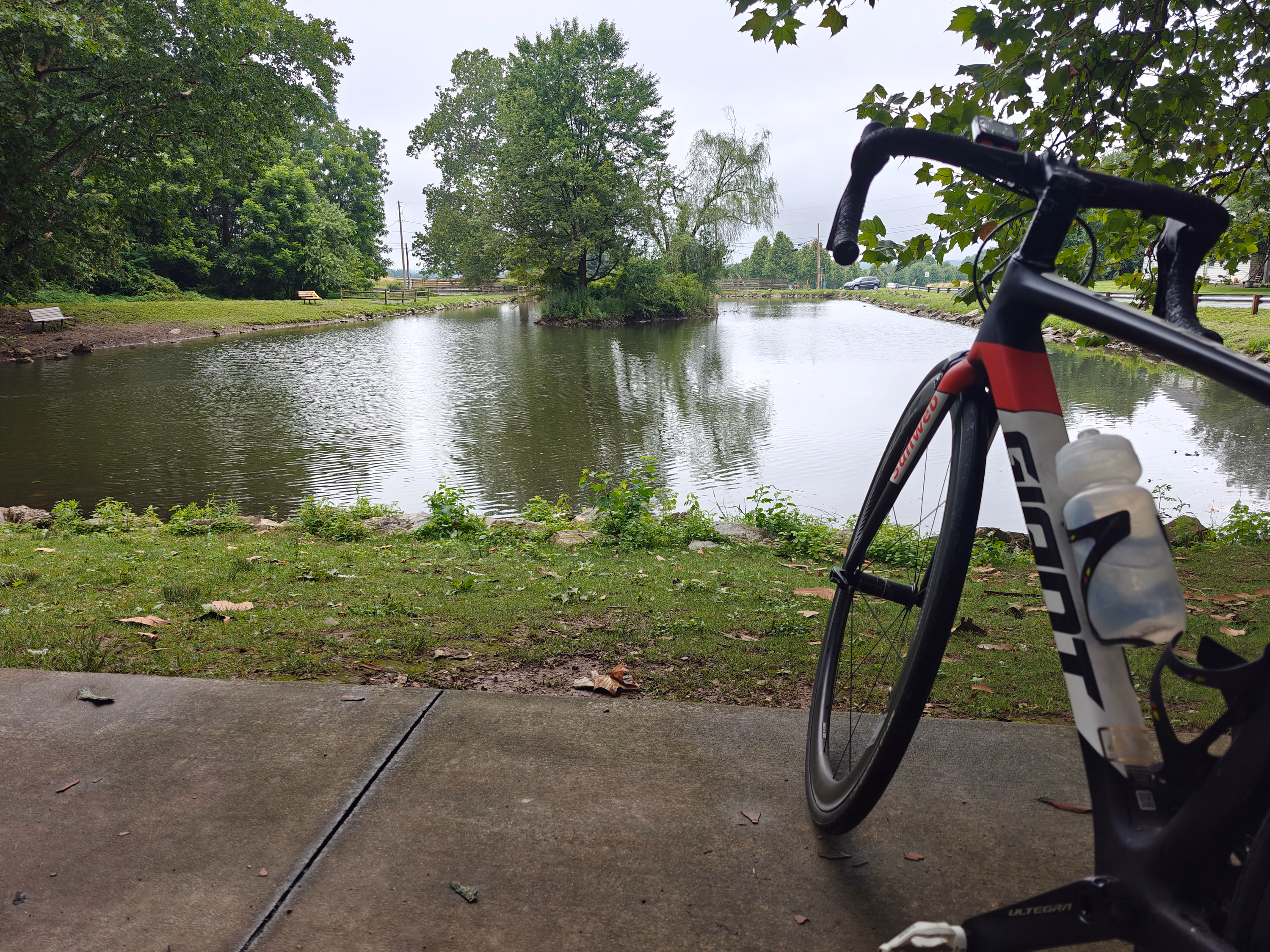 A bicycle rests on a grassy riverbank overlooking calm water and distant trees.