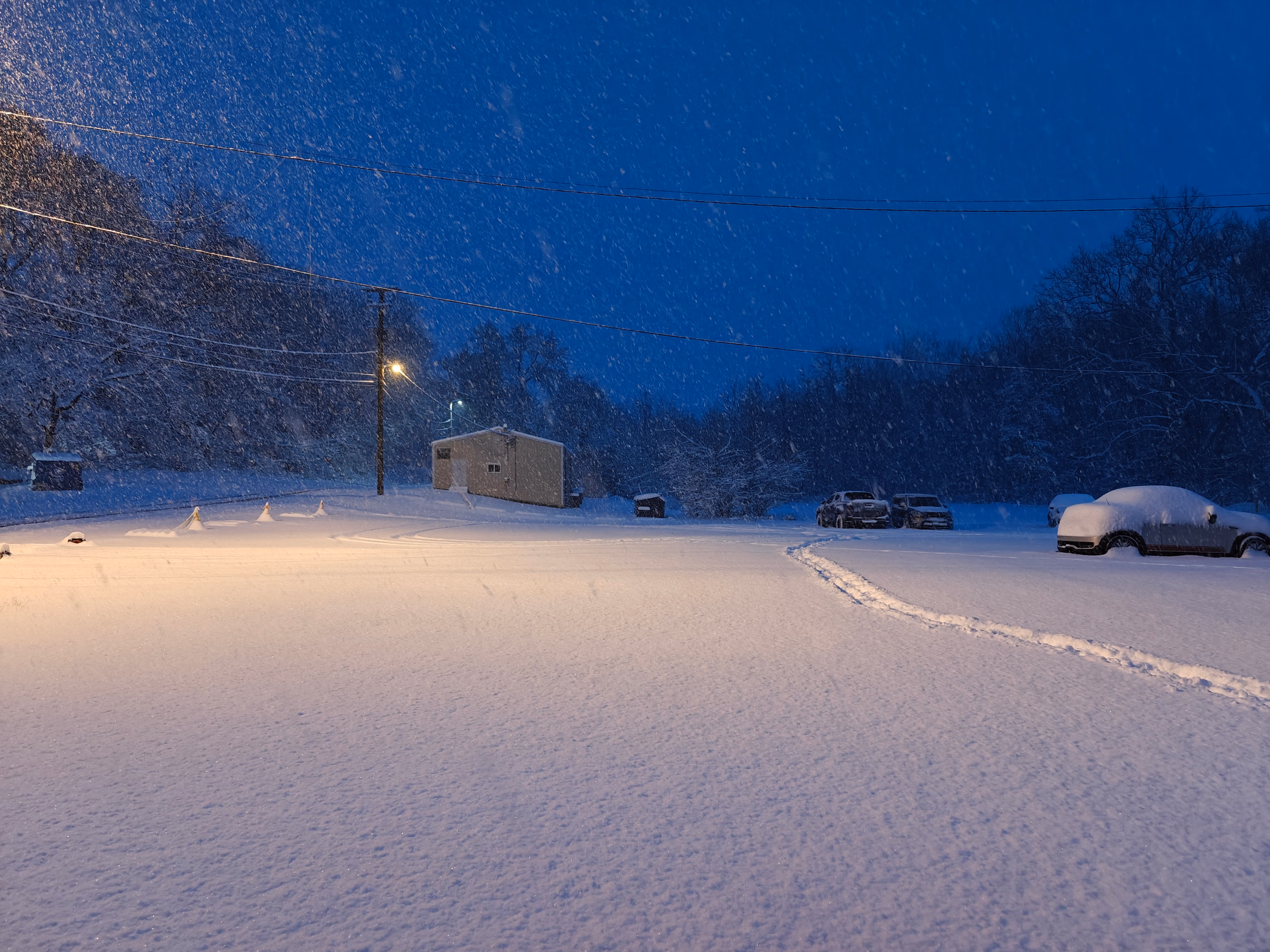 Snow falls across a driveway and parked cars at blue dusk in Hershey.
