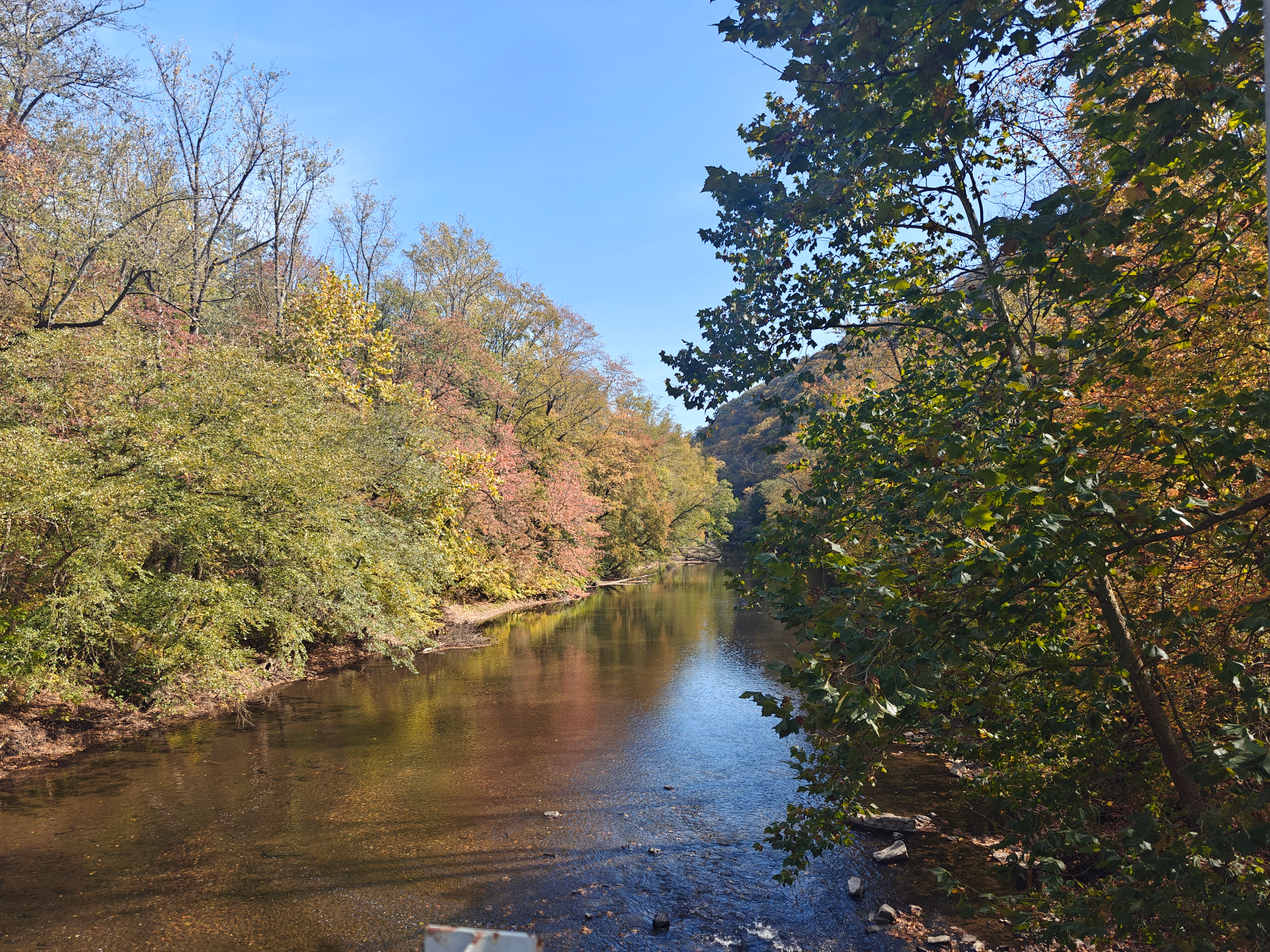A river passes between autumn forest banks near Jonestown.