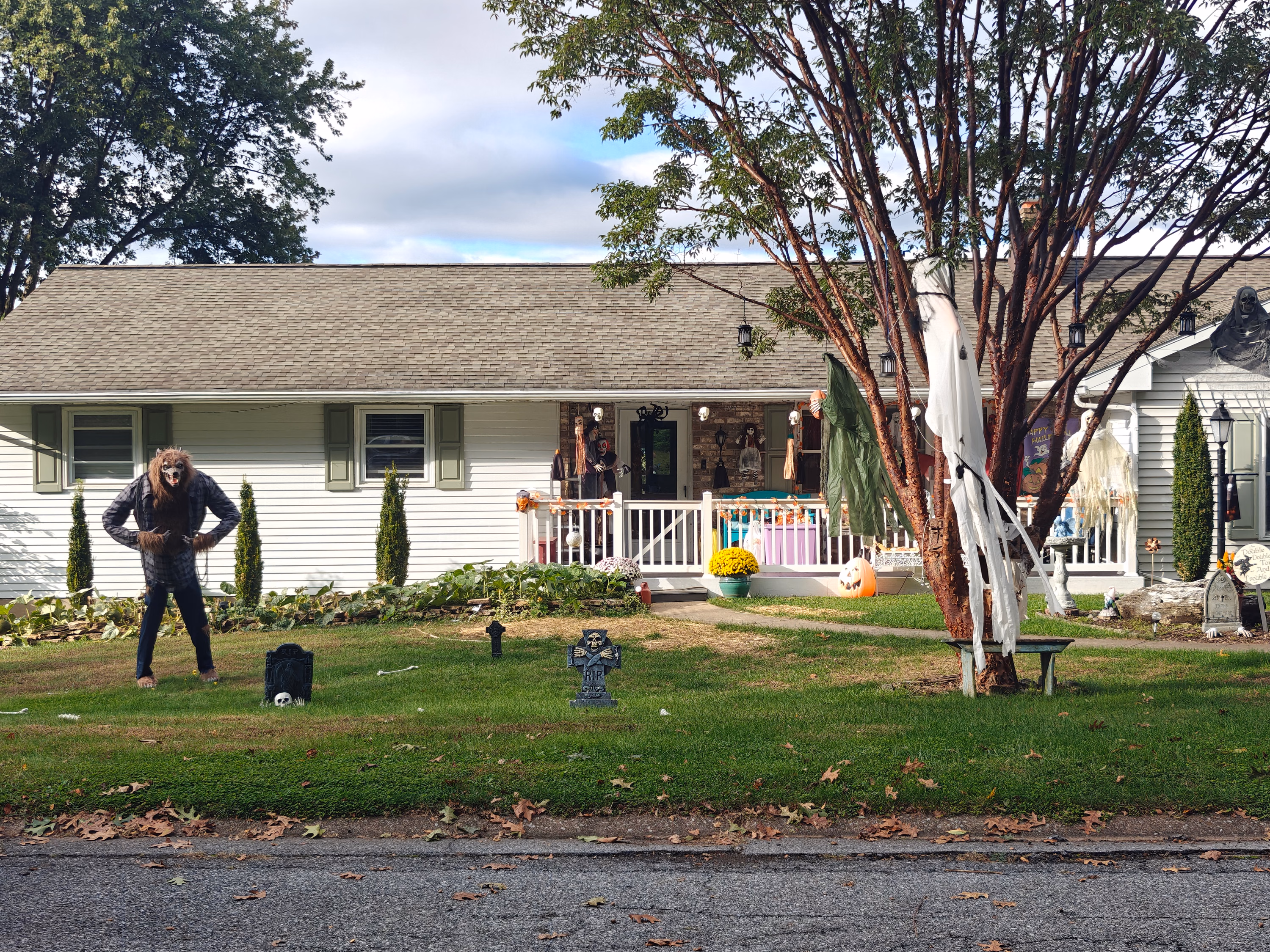 A person walks a dog past Halloween figures arranged in a Hershey front yard.