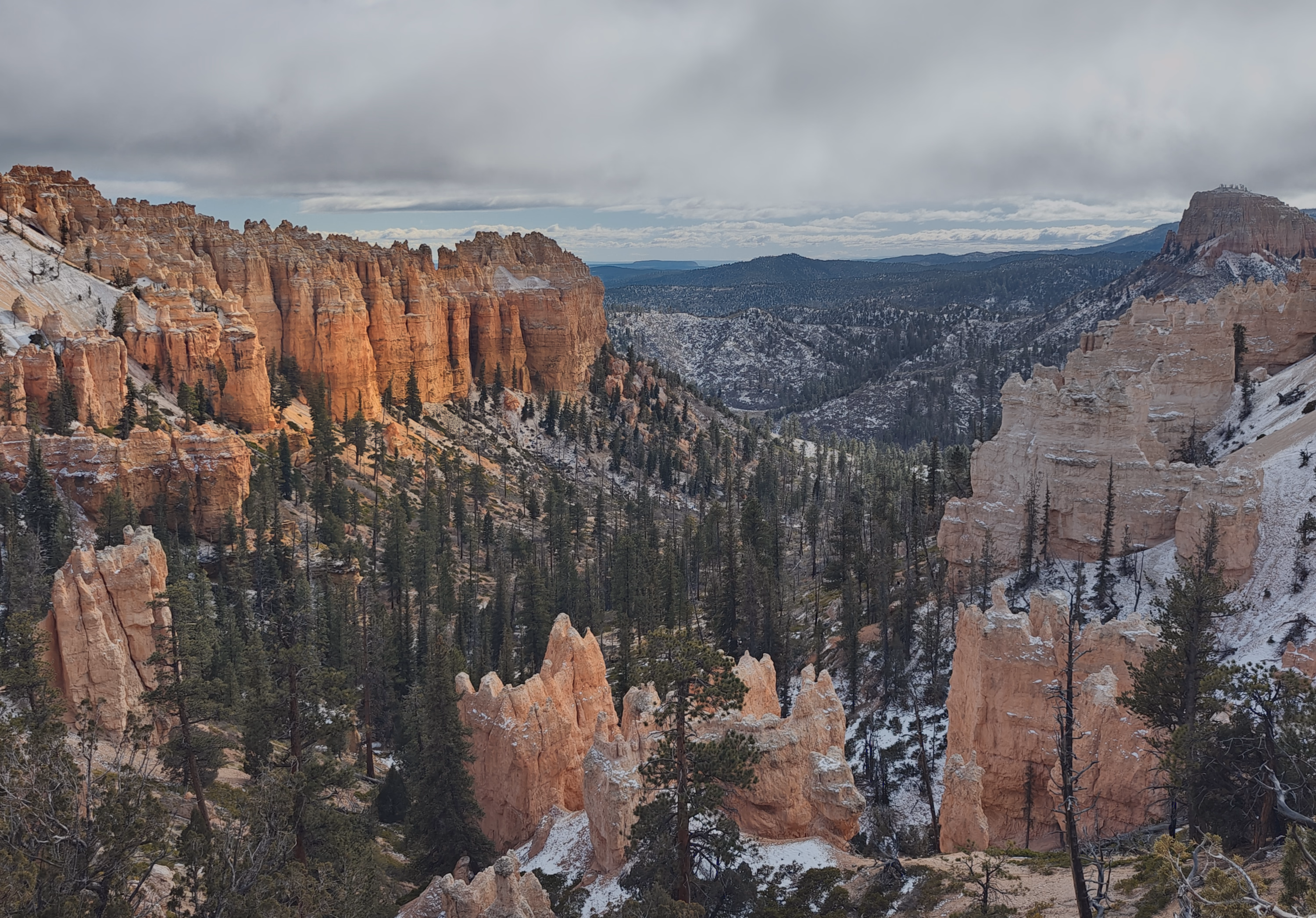 Snow threads through orange hoodoos and pine forest beneath a heavy Bryce Canyon cloud ceiling.