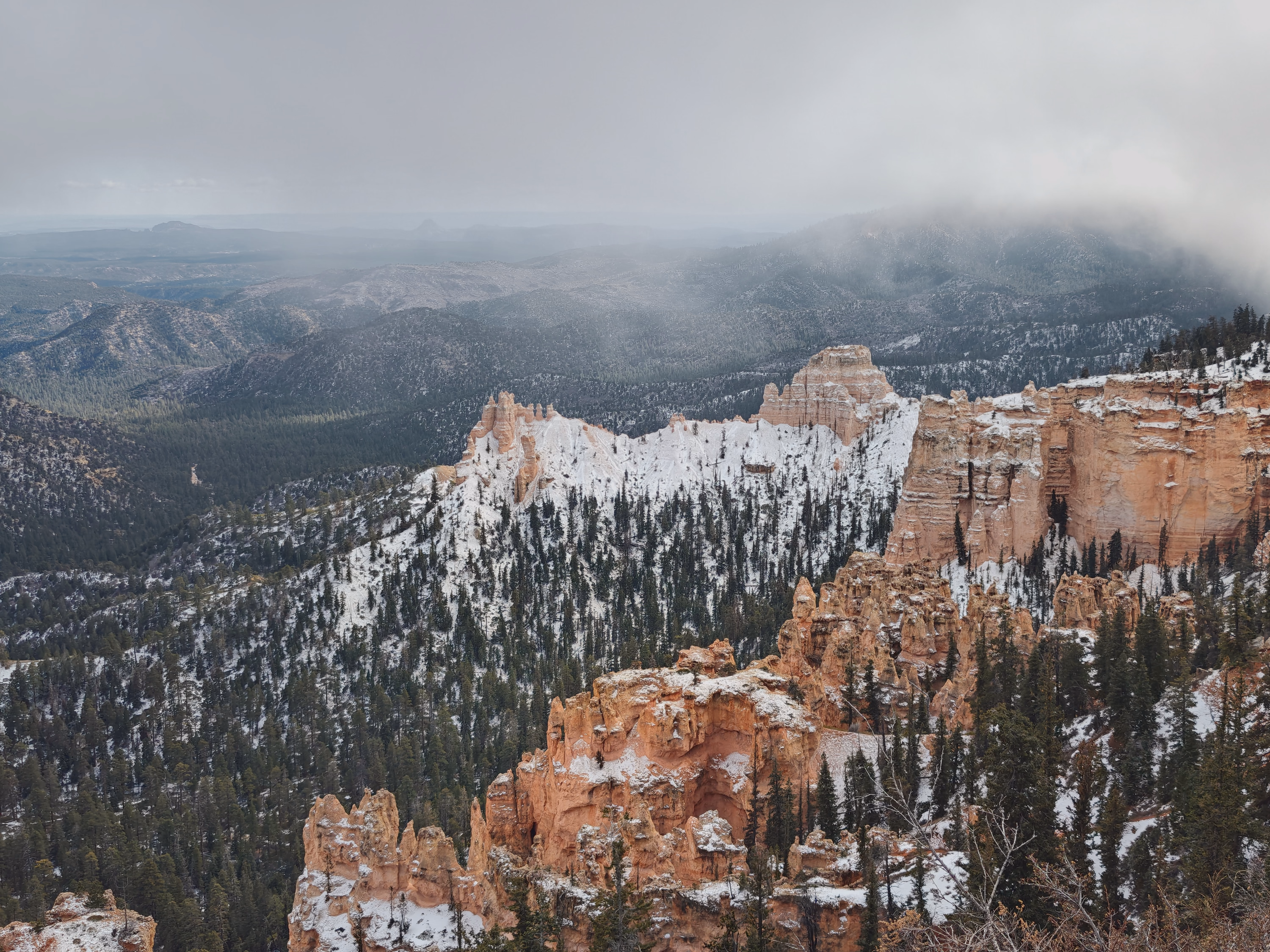 Fog drifts over a snowy Bryce Canyon ridge while orange hoodoos descend into dark forest.