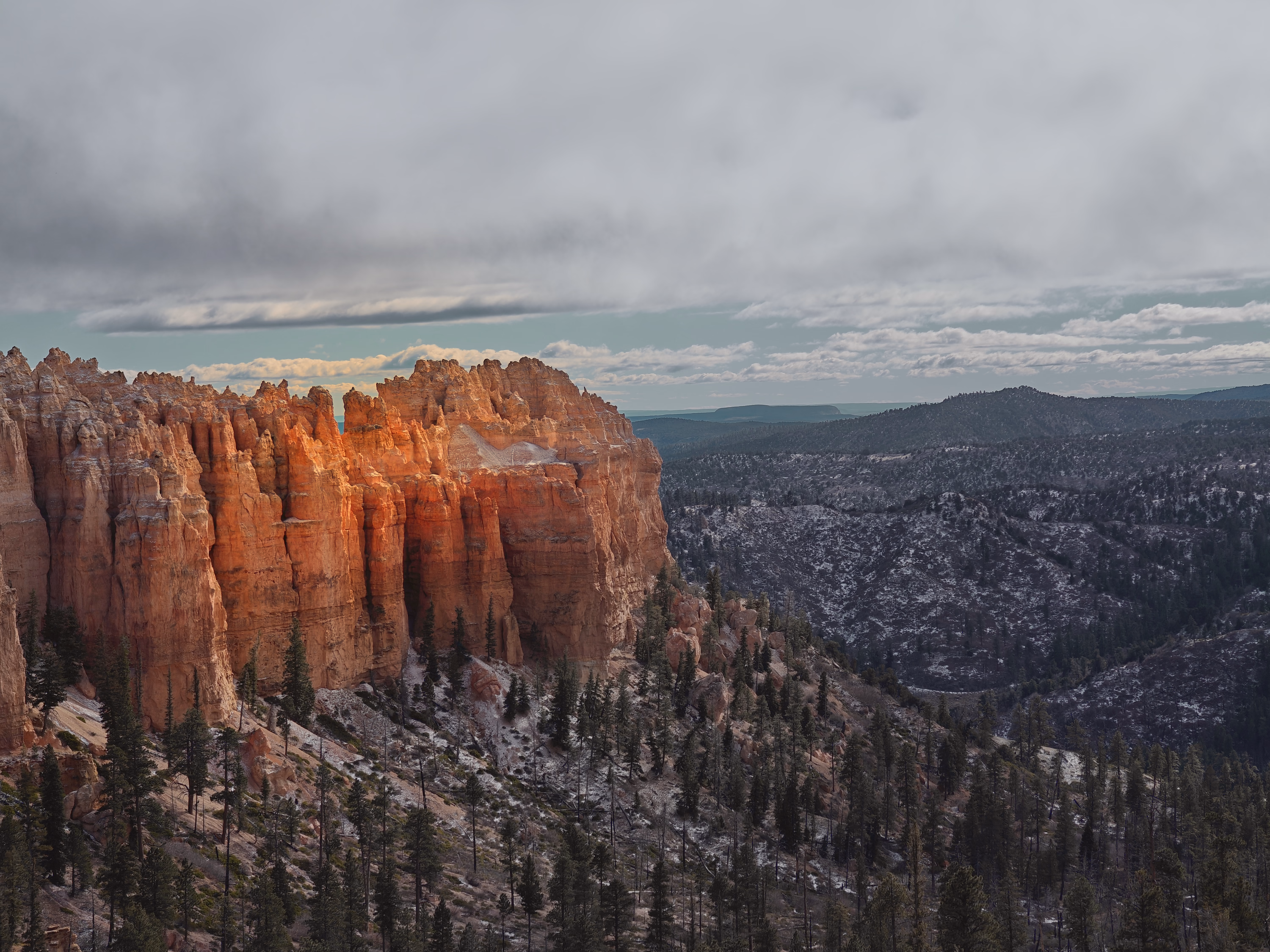 Warm Bryce hoodoos descend into a forested winter basin beneath layered storm cloud.