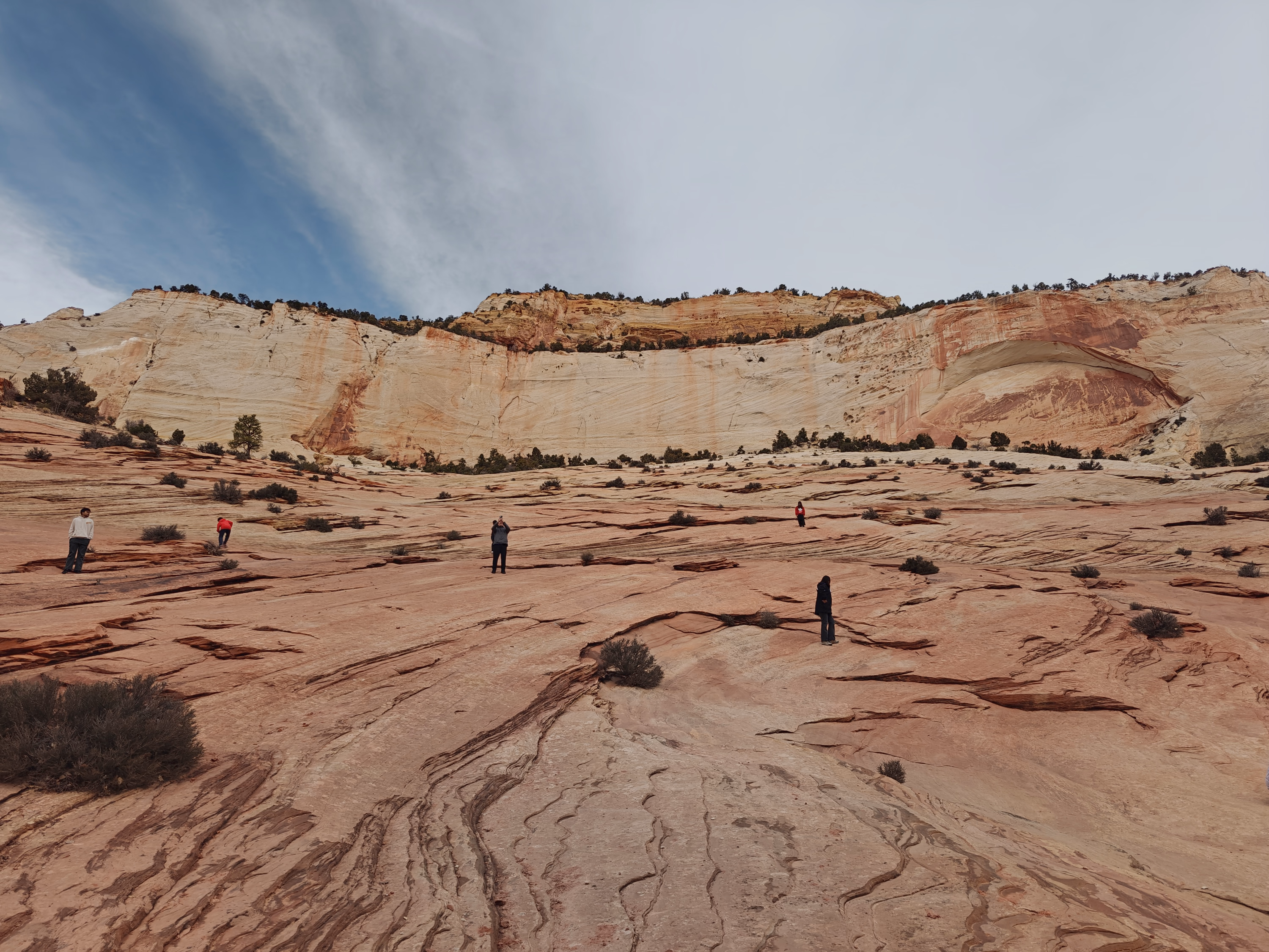 Hikers are scattered across a vast striped sandstone floor beneath a pale Zion wall.