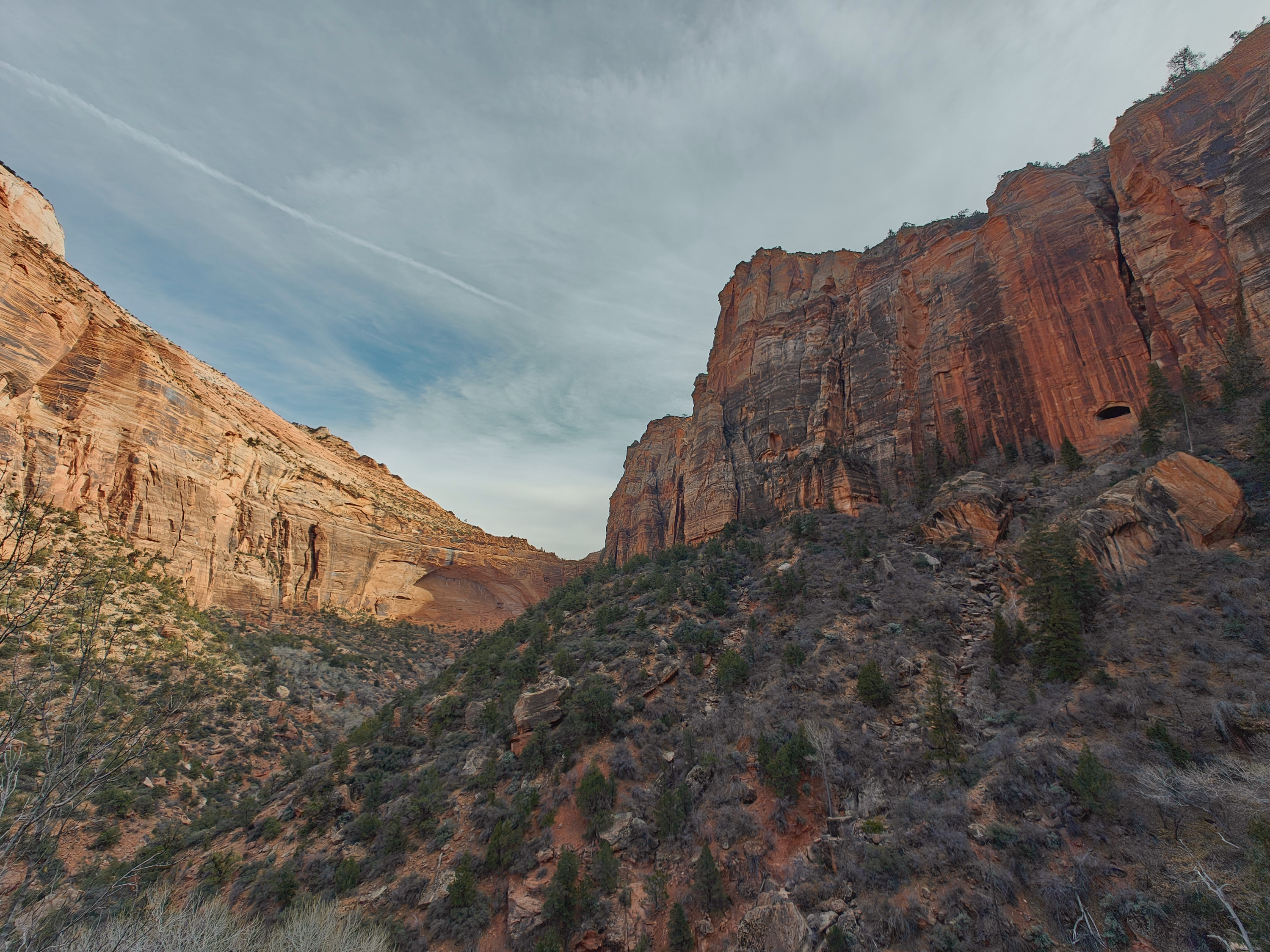 Opposing red and pale Zion cliffs rise above a shadowed winter slope beneath sweeping cloud.