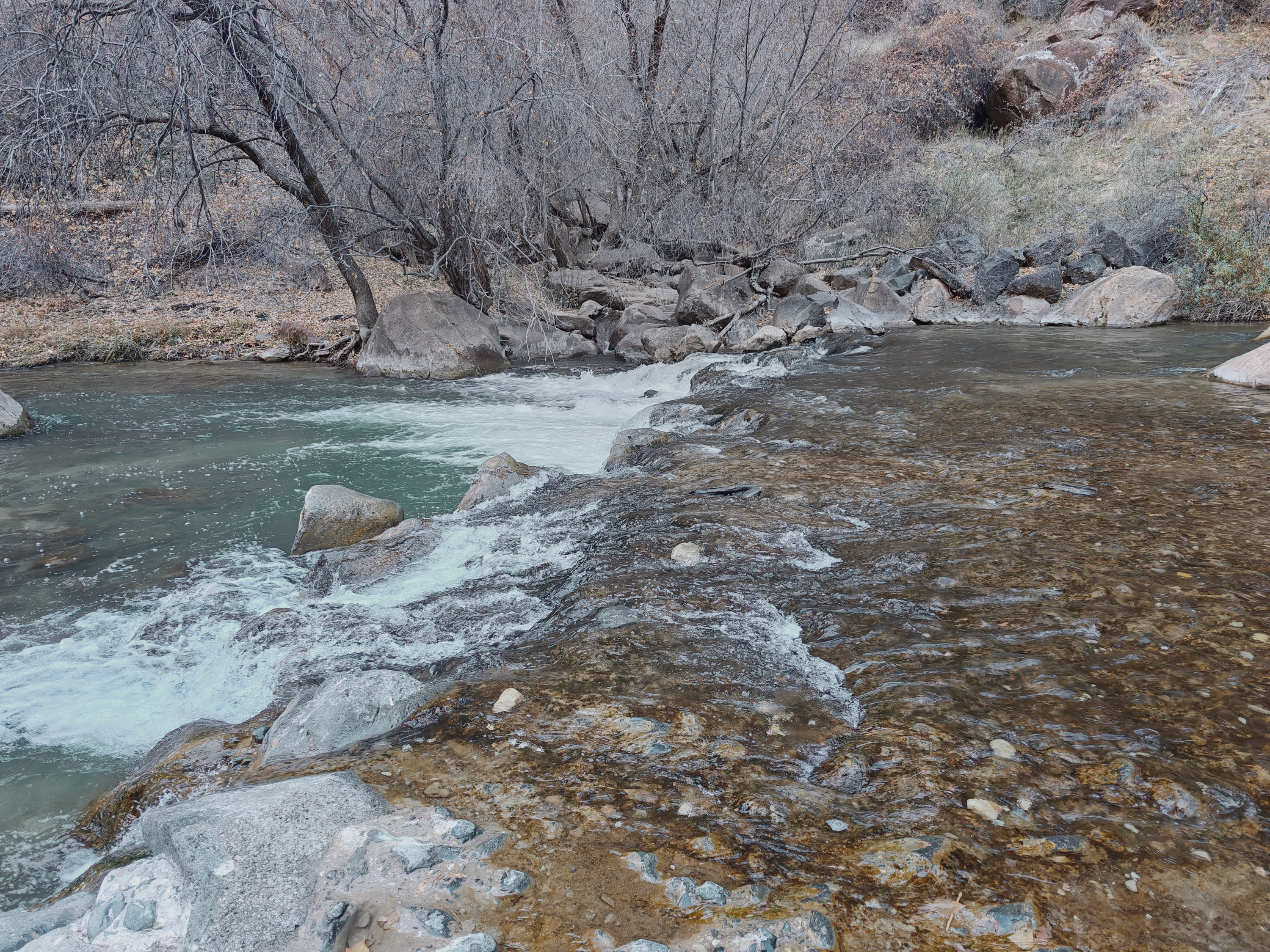 A clear winter river ripples over amber stones beneath bare trees and red canyon brush.