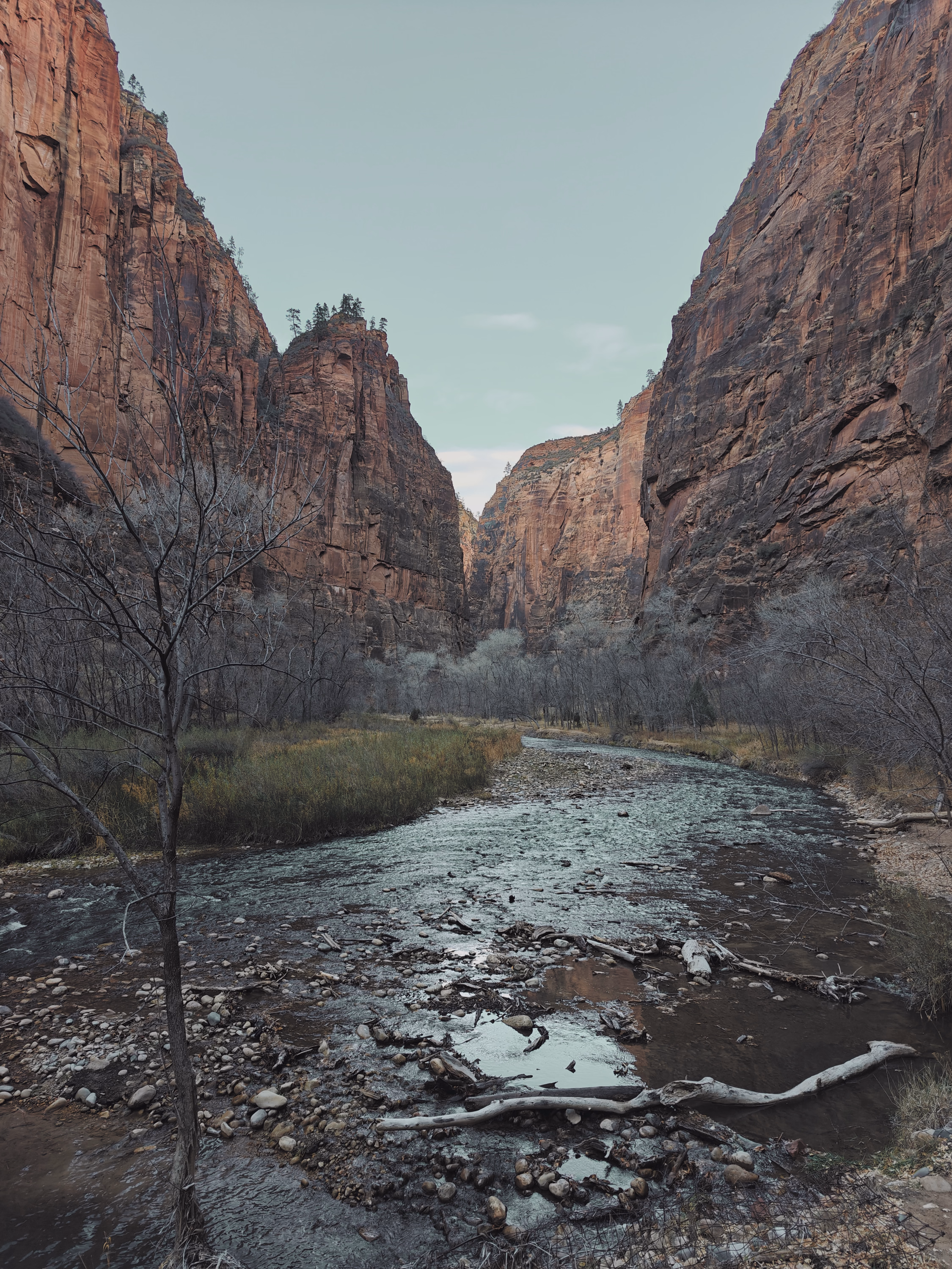 A shallow winter river leads between sheer Zion walls toward a pale opening.