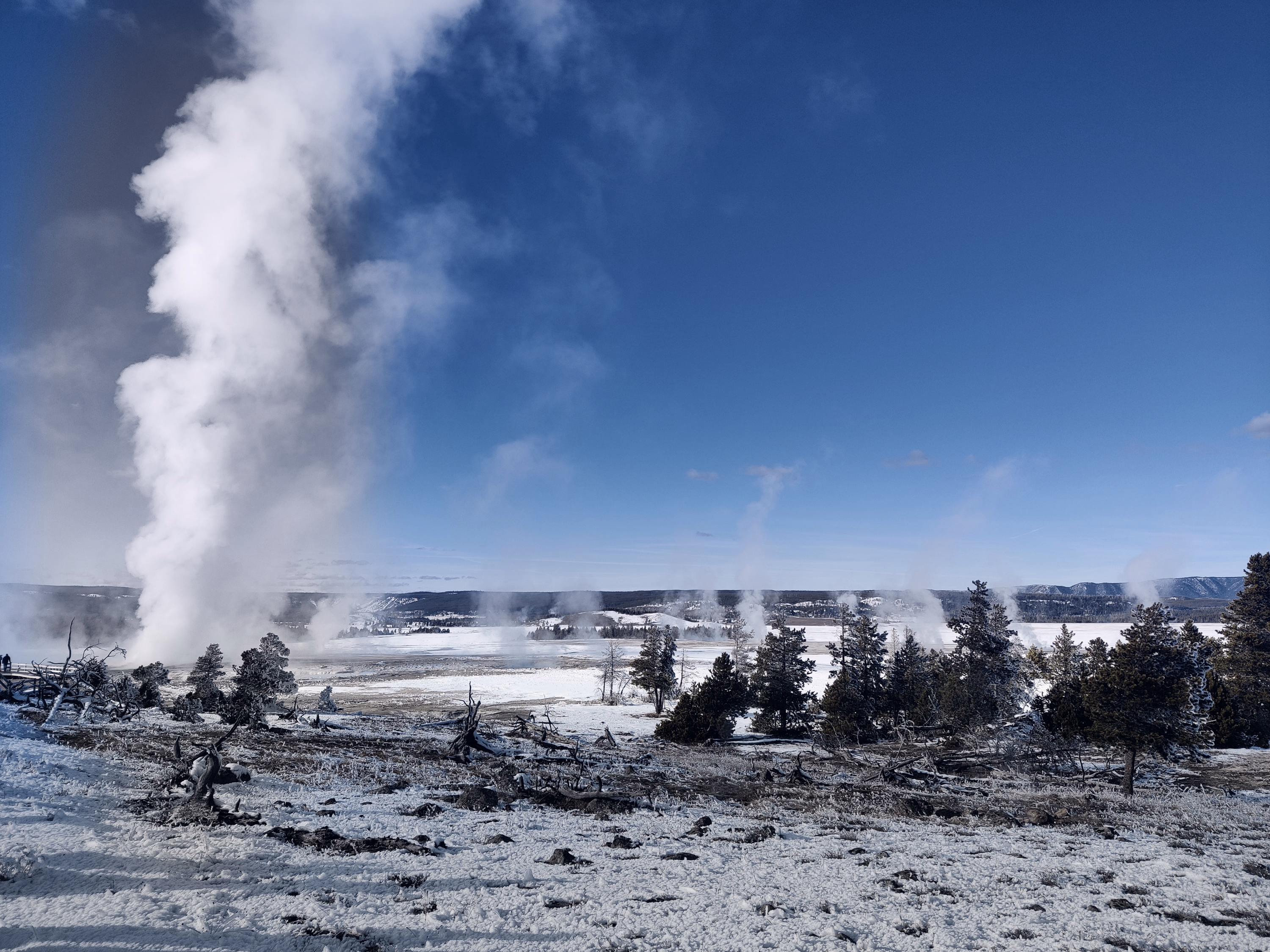 A tall white steam plume rises over a vast snowy geyser basin beneath blue sky.