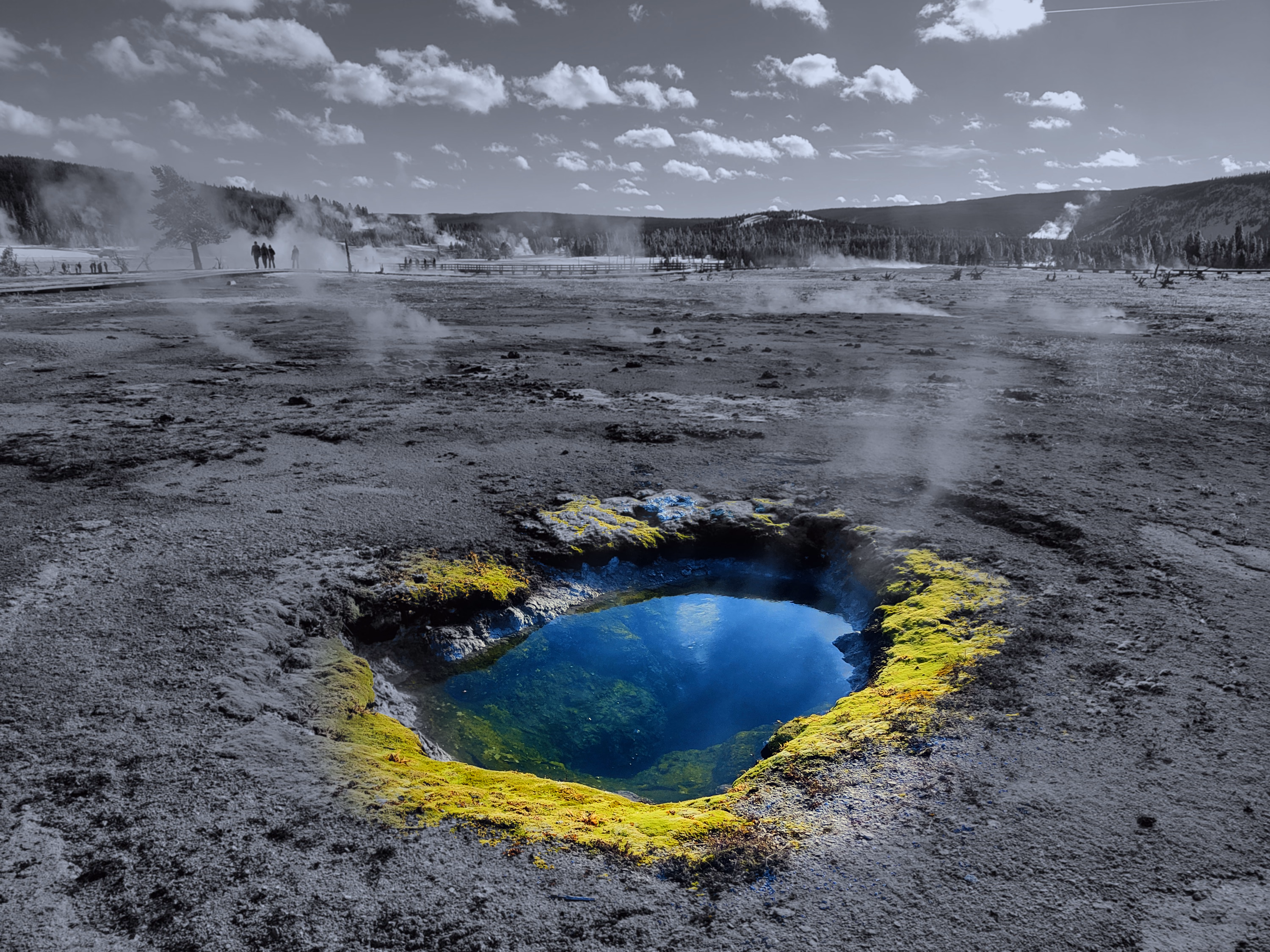 A blue mineral spring and yellow-green moss remain in color inside a graphite winter basin.