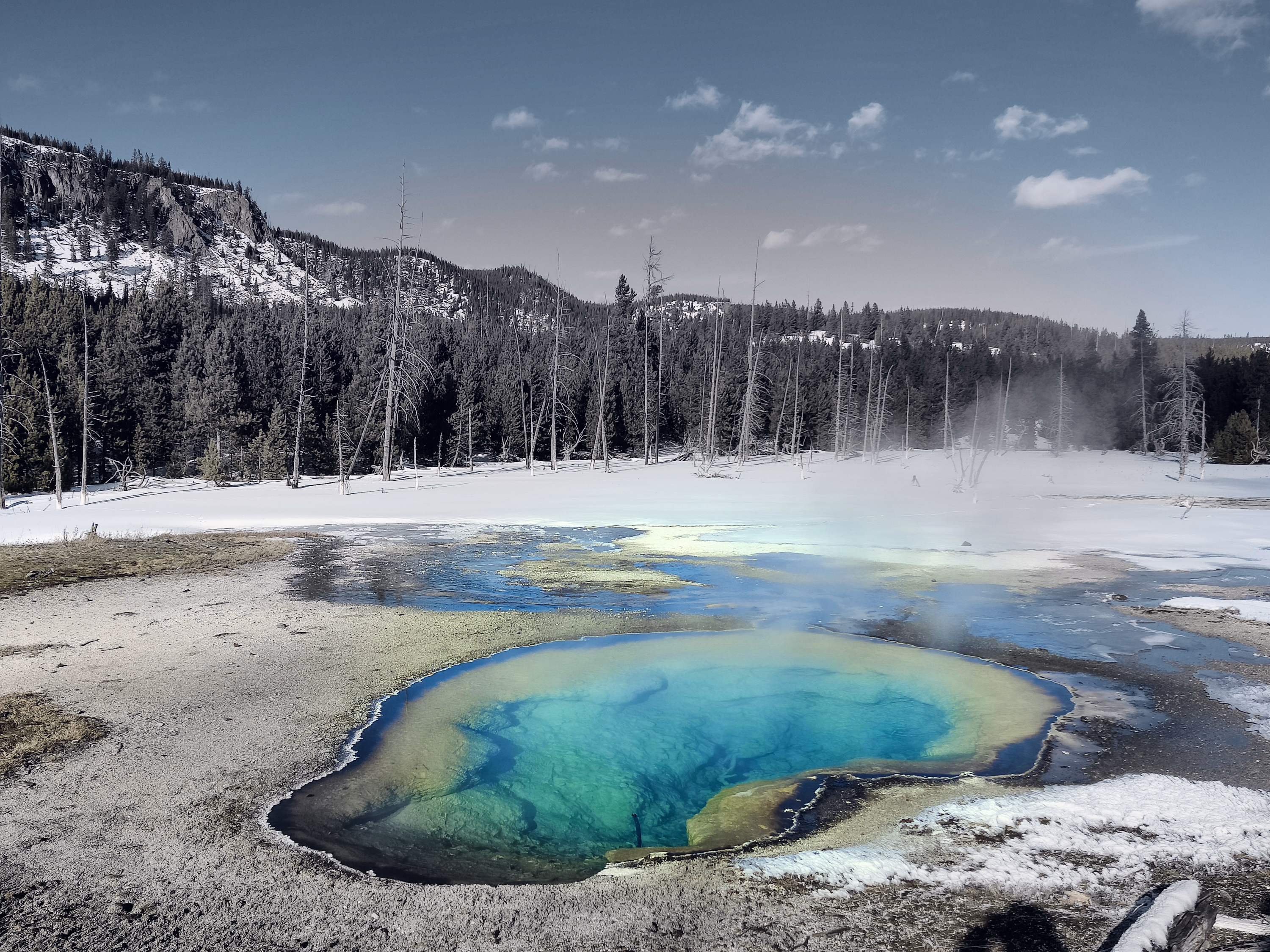 A jewel-green hot spring lies amid snow, mineral crust, bare trunks, and forest.