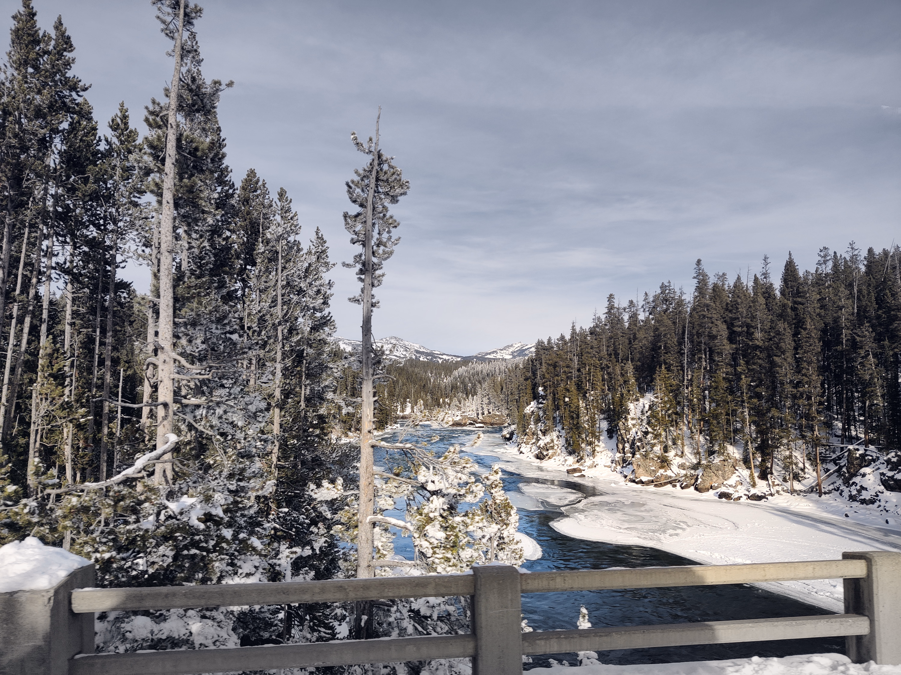 A partly frozen river bends through a snowy pine forest beyond a concrete bridge railing.